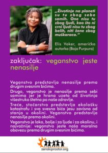 naslovna, pamflet